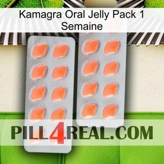 Kamagra Oral Jelly 1 Week Pack 27